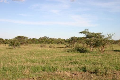 Environmental Stewardship