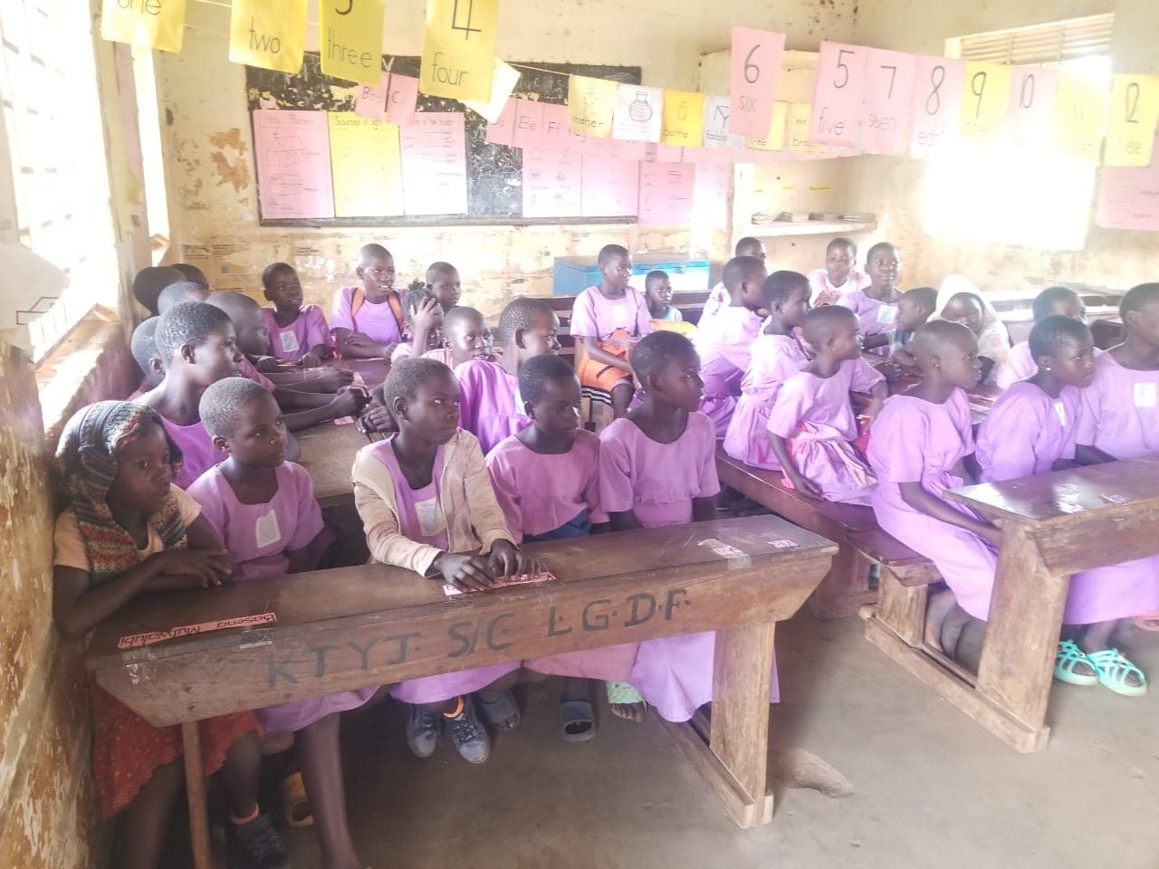 Education Programs